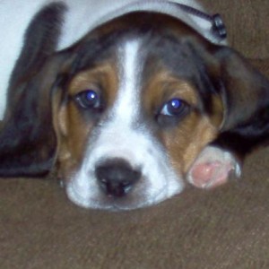Picture 001.jpg