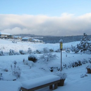 Snow Shuts Down Seattle