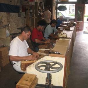 Rollers at work in the New Orleans Cigar Factory