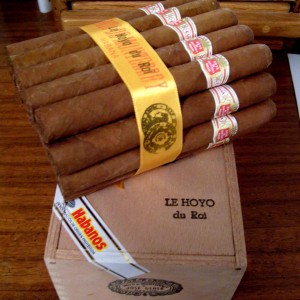 Le Hoyo du Roi SLB
