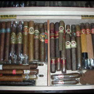 New Humi 1.jpg