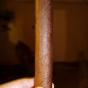 6x60 review