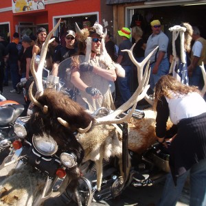 The Buffalo Bike