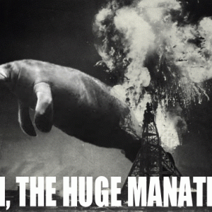 Manatee.gif