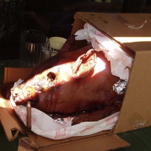 TO.Padron.07-49.Smoked.Pig.Smoking.Padron.jpg