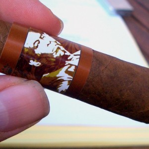 JVM Honey boy burn.JPG