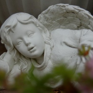 Little angel on my porch...