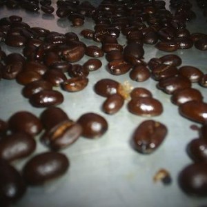 Some fresh roasted sumatra beans...mmmmm