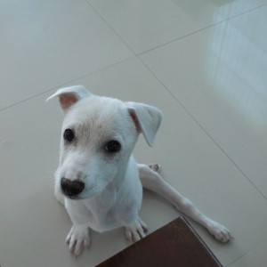 Mali says hello!