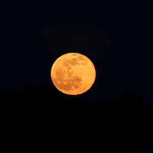 05 14 14 The Moon 001