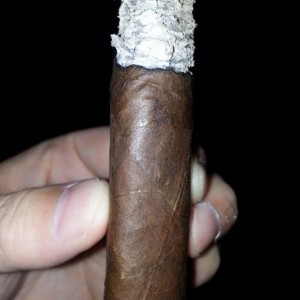 Padron