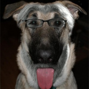 garydog