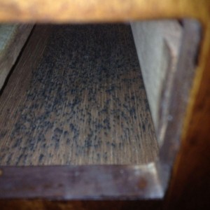 Bottom interior of humidor