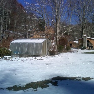 greenhouse