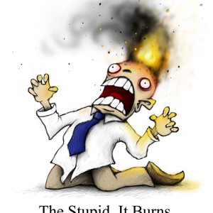 The stupid It burns