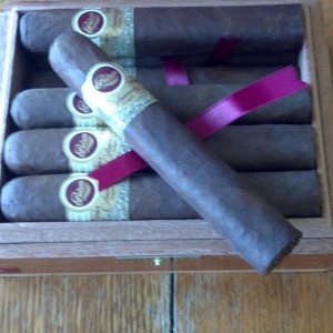 Padron T100 Maduro