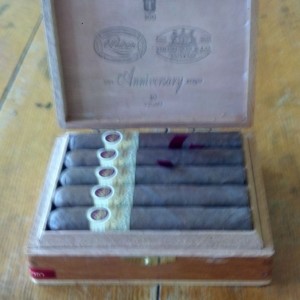 Padron T100.