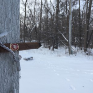 Winter warrior
