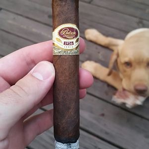 Padron26