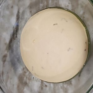 Rosemary Gyro dough