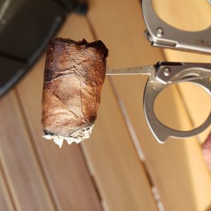 Padron nub.jpg