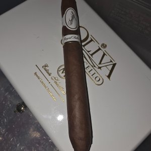 Media '5822.jpg' in album 'SeeGars'