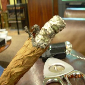 DSCN1022.JPG