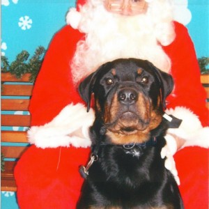 Remy with Santa