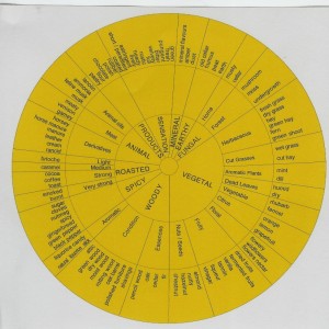 Flavor Wheel