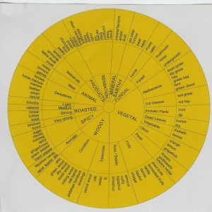 Flavor Wheel