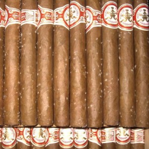 Moldy Fake Hoyo's