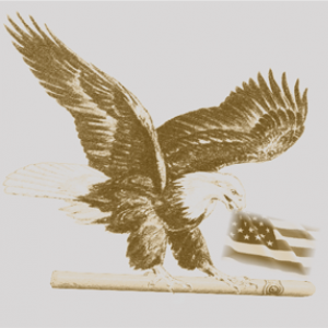 My Eagle.png