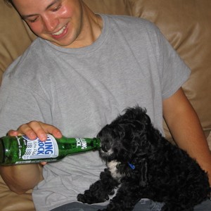 Phlicker with dog drinking