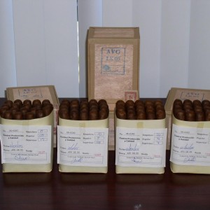 Avo LE05 porn