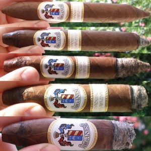 Arganese Cigars: Maduro Chairman Torpedo
