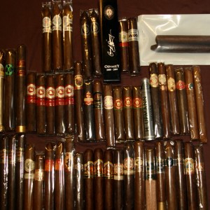 more sticks from one of the humi's