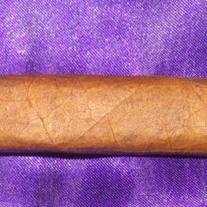 padron1