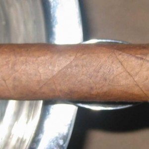 Padron3