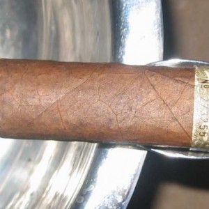Padron4