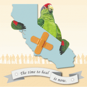 parrot1.gif