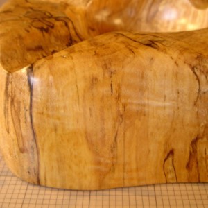 Spalted #1B