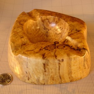 Spalted #1D