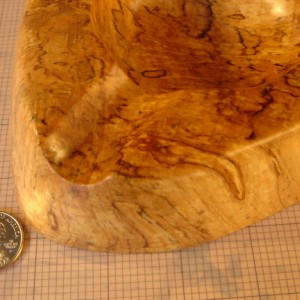 Spalted #1E