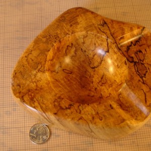 Spalted #1F