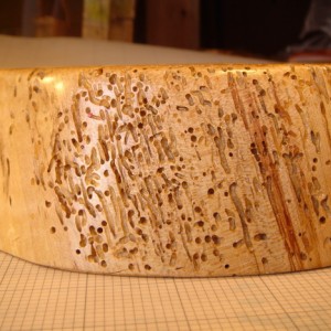 Spalted #2F