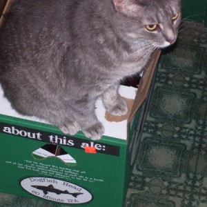 Haley guards the IPA ...