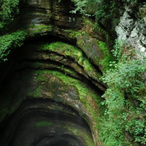 Neversink