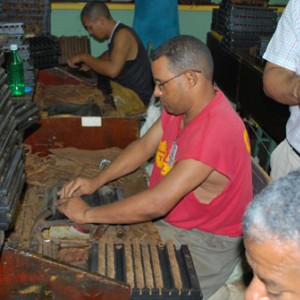 Rolling A.Fuente