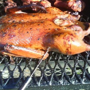 smoked duck