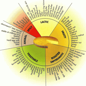 Cheese Taste Wheel 2